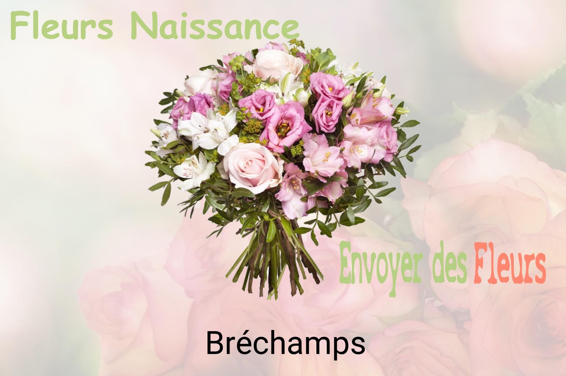Bouquet de fleurs de naissance livré à Bréchamps
