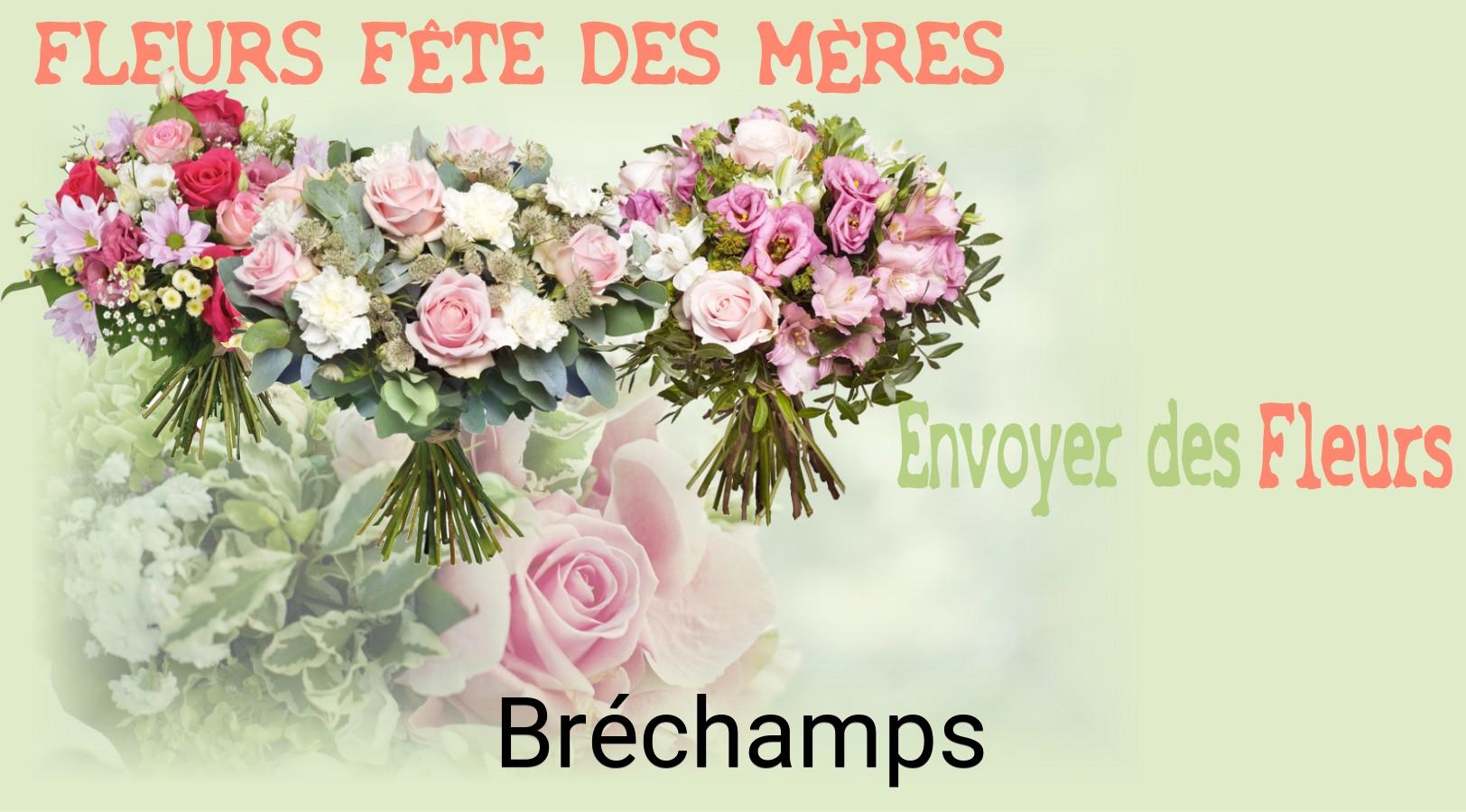 Bouquet de Fête des Mères livré à Bréchamps